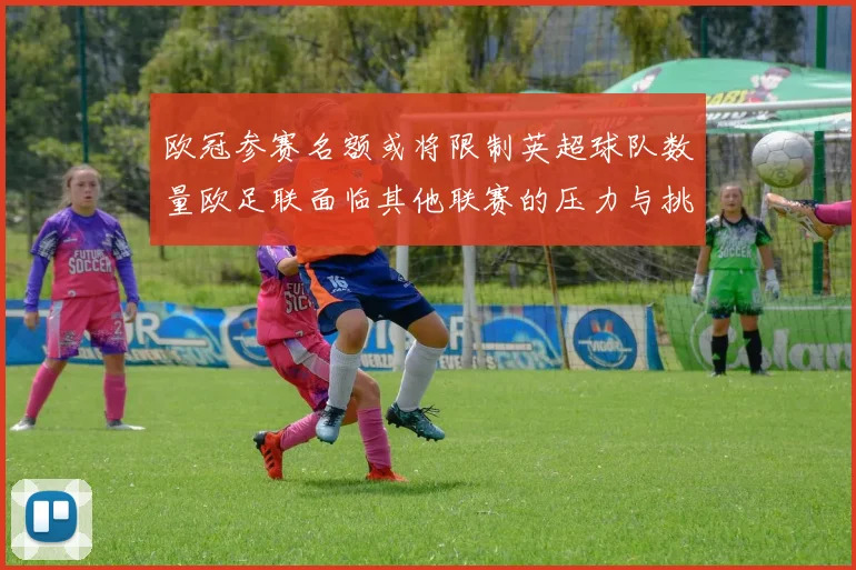 欧冠参赛名额或将限制英超球队数量欧足联面临其他联赛的压力与挑战
